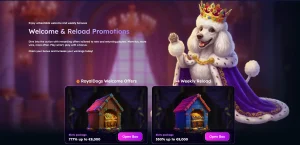 royaldogs casino promotions